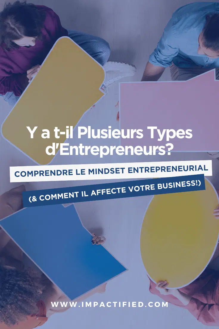 comprendre le mindset entrepreneurial y a t-il plusieurs types d'entrepreneurs